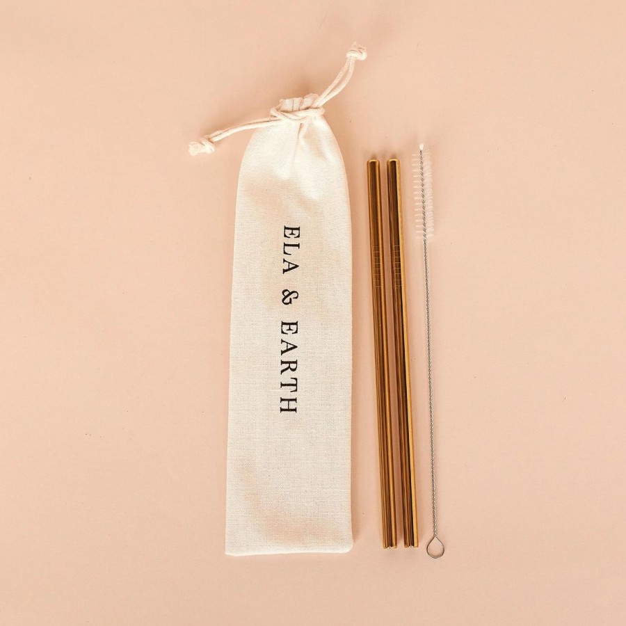 Ela & Earth Gold Metal Straight Smoothie Straws (Set Of 2) | Drink Straws