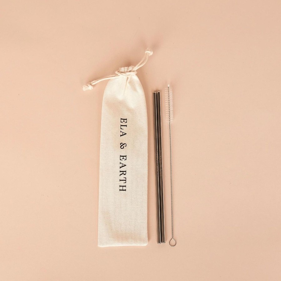 Ela & Earth Silver Metal Soda Straws (Set Of 2) | Drink Straws